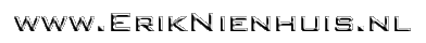www.ErikNienhuis.nl